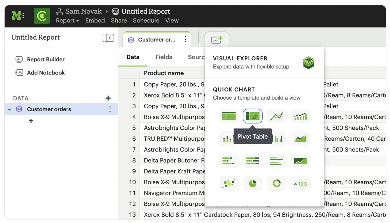 Using a dataset in reports